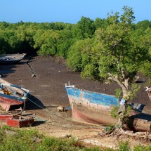 Boats in the mangroves on the eastern shore of Tanga at low tide